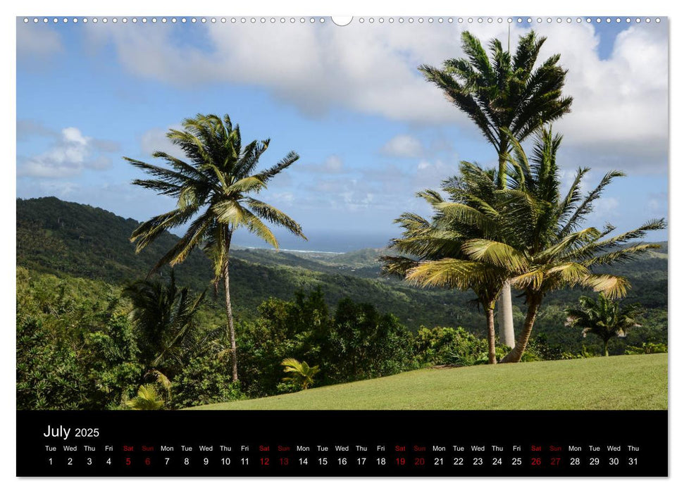 Cruise Caribbean (CALVENDO Premium-Calendar 2025)