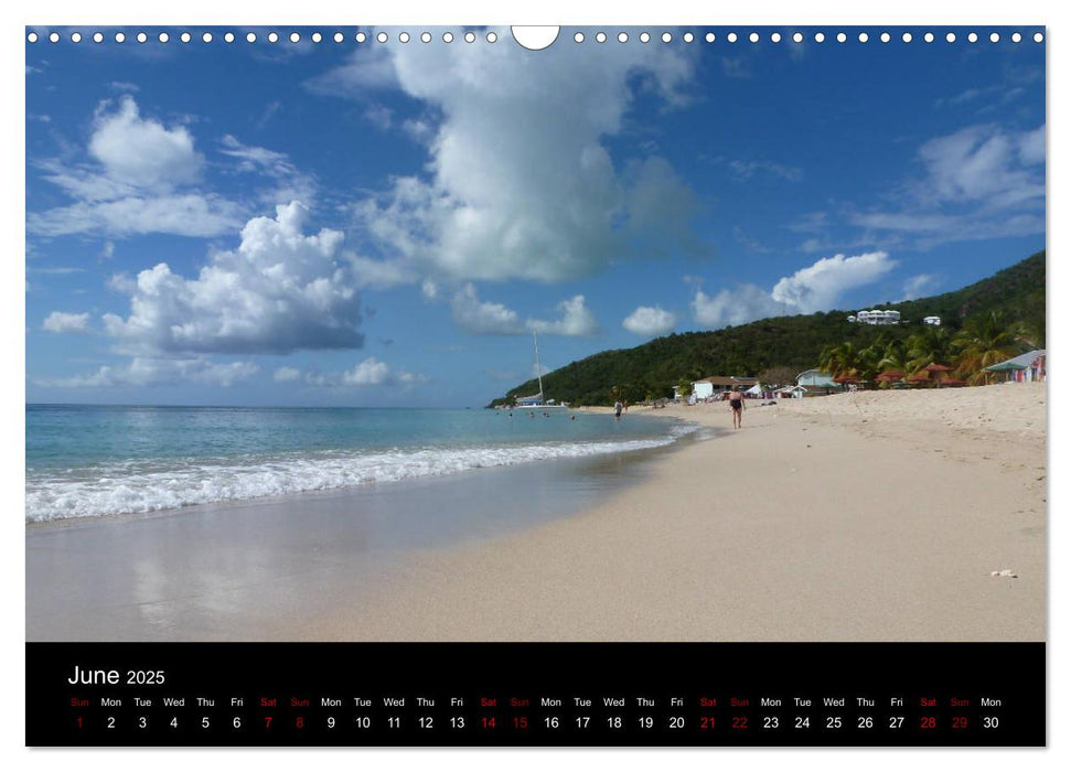 Cruise Caribbean (CALVENDO Monthly Calendar 2025)