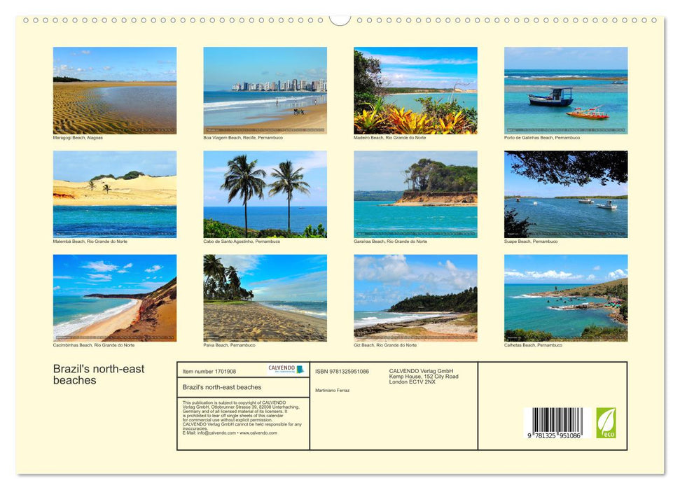 Brazil's north-east beaches (CALVENDO Premium-Calendar 2025)