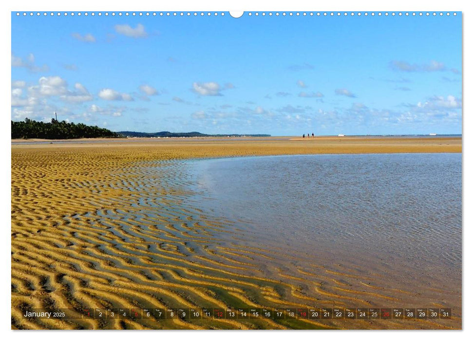 Brazil's north-east beaches (CALVENDO Premium-Calendar 2025)