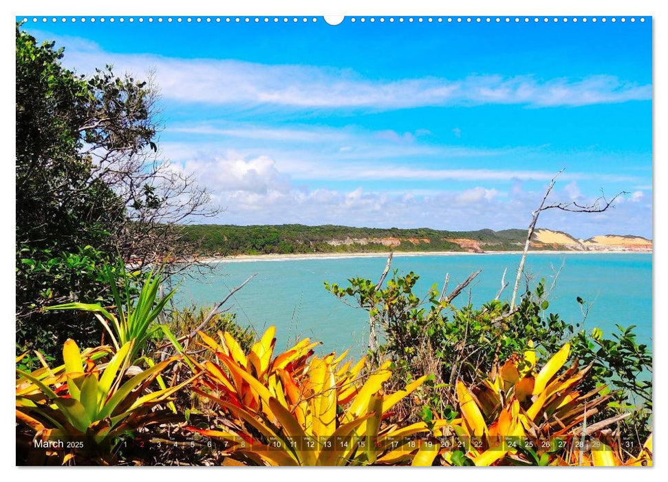 Brazil's north-east beaches (CALVENDO Premium-Calendar 2025)