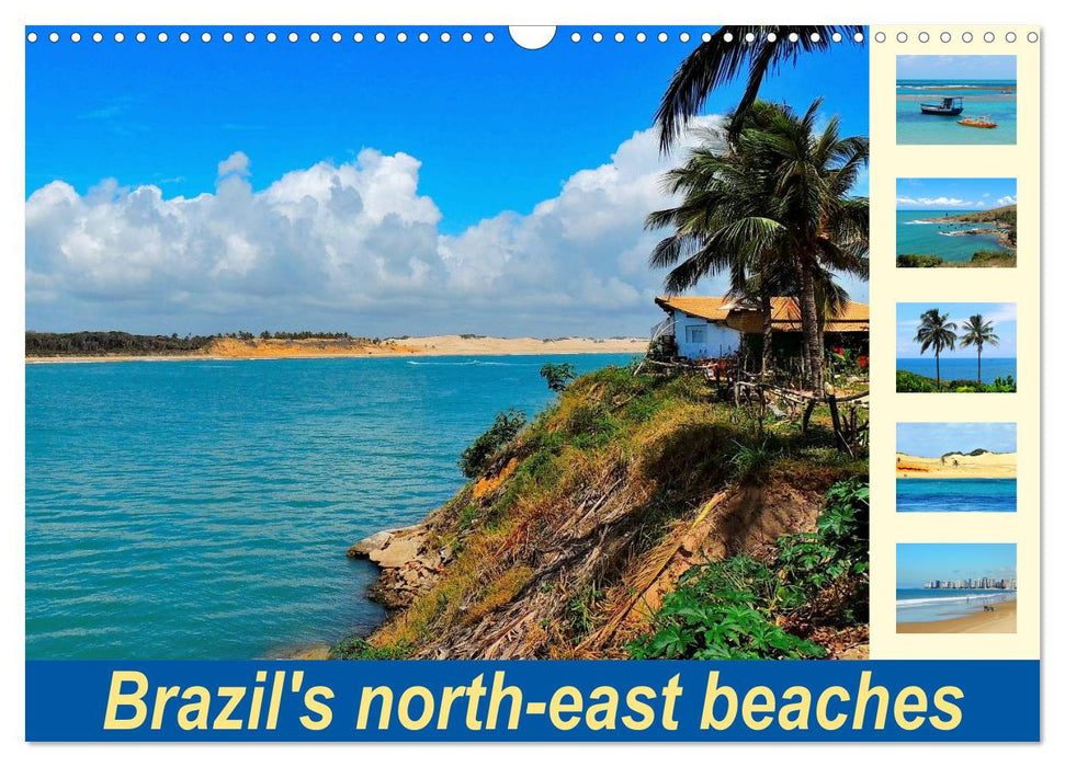 Brazil's north-east beaches (CALVENDO Monthly Calendar 2025)