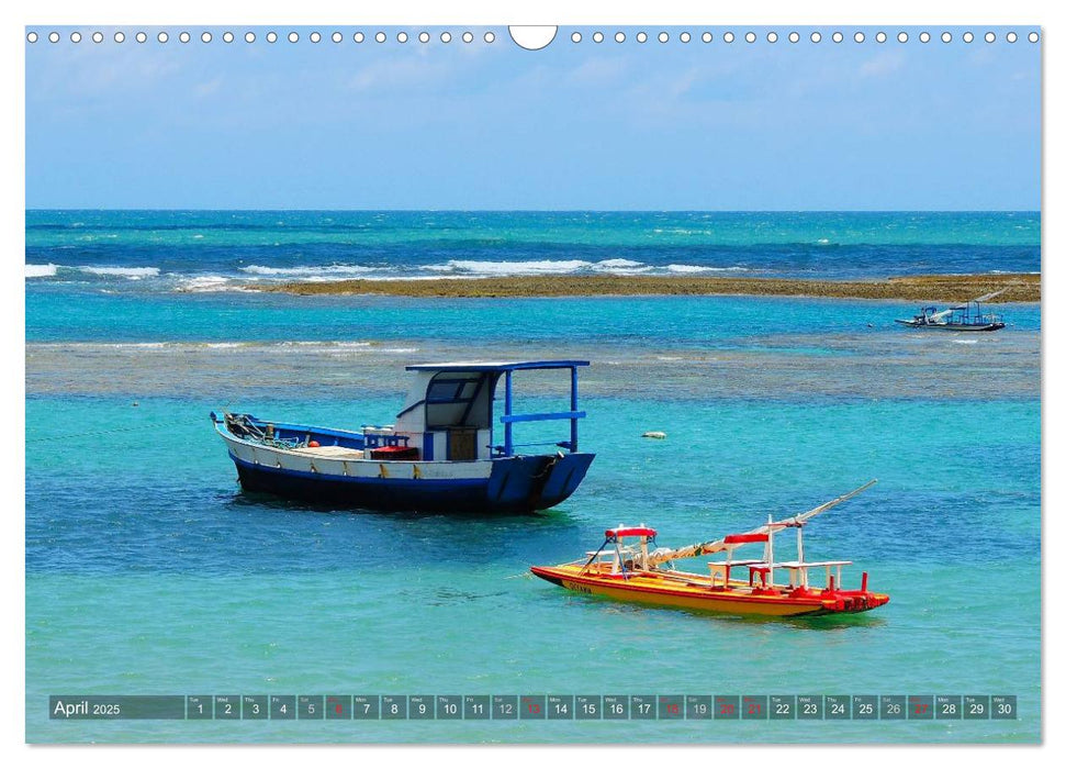 Brazil's north-east beaches (CALVENDO Monthly Calendar 2025)