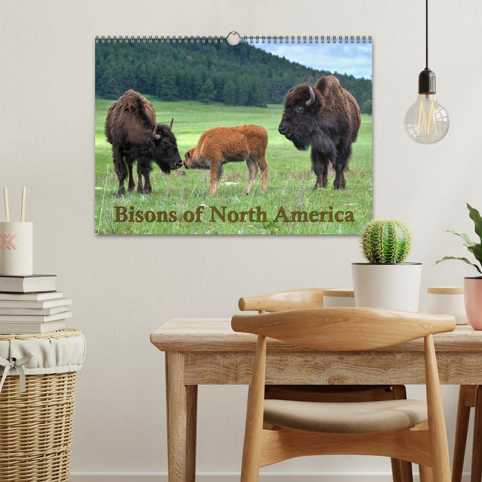 Bisons of North America (CALVENDO Monthly Calendar 2025)