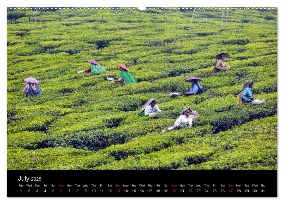 India - Magical Cities and Landscapes (CALVENDO Premium-Calendar 2025)