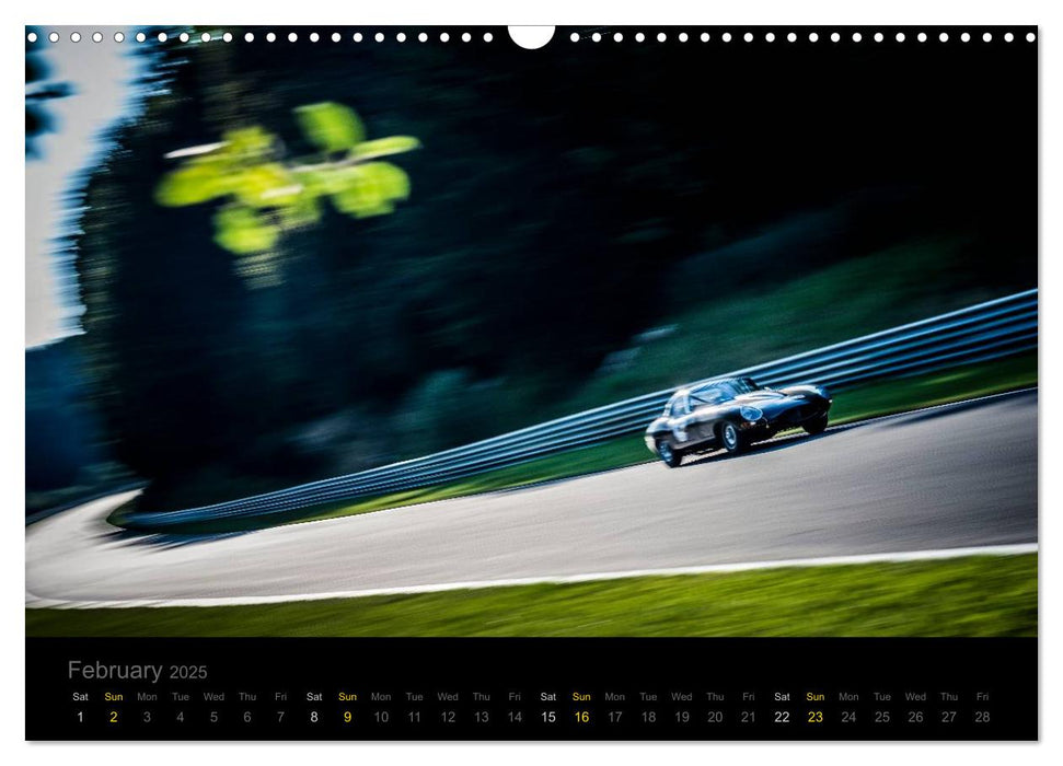 Jaguar E-Type - On Track (CALVENDO Monthly Calendar 2025)