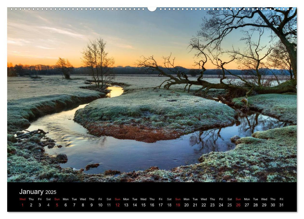 New Forest Hampshire (CALVENDO Premium-Calendar 2025)