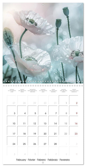 Magical Poppies (CALVENDO Monthly Calendar 2025)