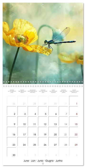 Magical Poppies (CALVENDO Monthly Calendar 2025)