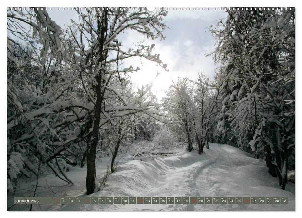 De la neige, toute l'année en montagne (CALVENDO Calendrier supérieur 2025)