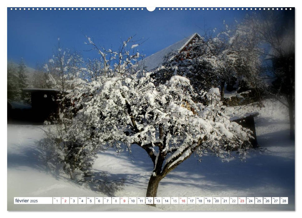 De la neige, toute l'année en montagne (CALVENDO Calendrier supérieur 2025)