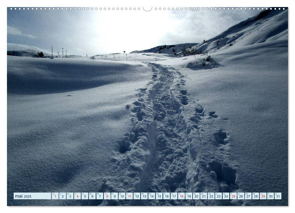 De la neige, toute l'année en montagne (CALVENDO Calendrier supérieur 2025)