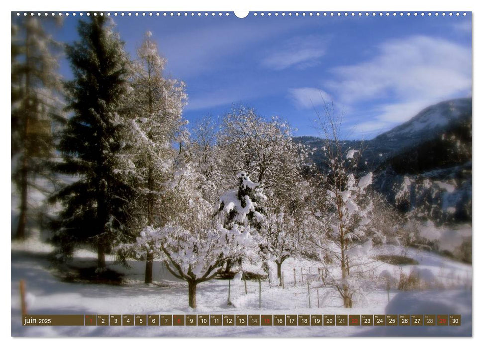 De la neige, toute l'année en montagne (CALVENDO Calendrier supérieur 2025)