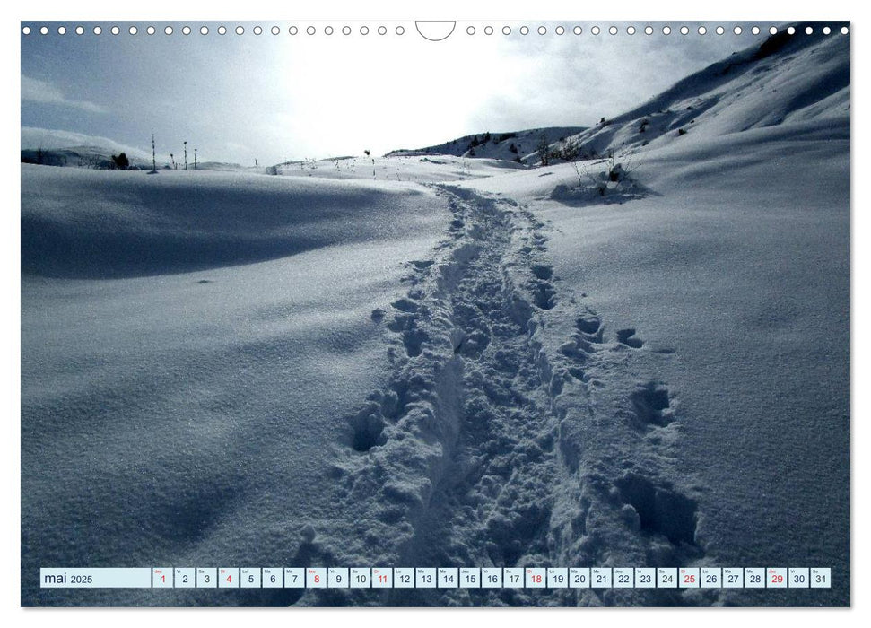 De la neige, toute l'année en montagne (CALVENDO Calendrier mensuel 2025)