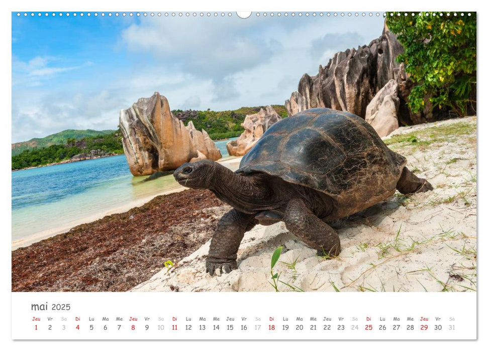 Paysages des Seychelles (CALVENDO Calendrier supérieur 2025)