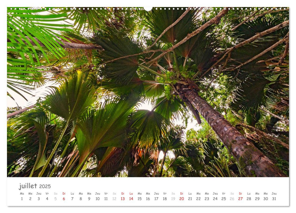 Paysages des Seychelles (CALVENDO Calendrier supérieur 2025)