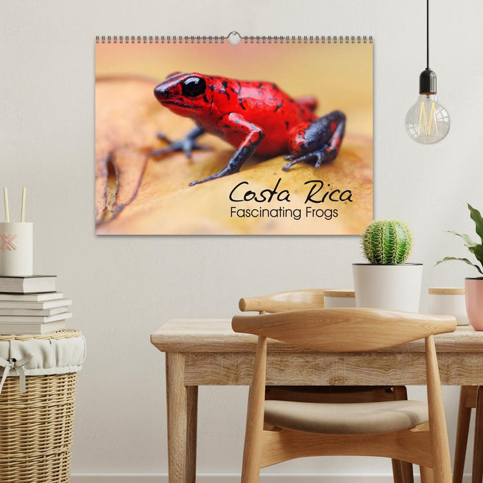 Costa Rica - Fascinating Frogs (CALVENDO Monthly Calendar 2025)