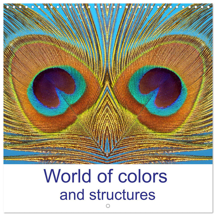 World of colors and structures (CALVENDO Monthly Calendar 2025)