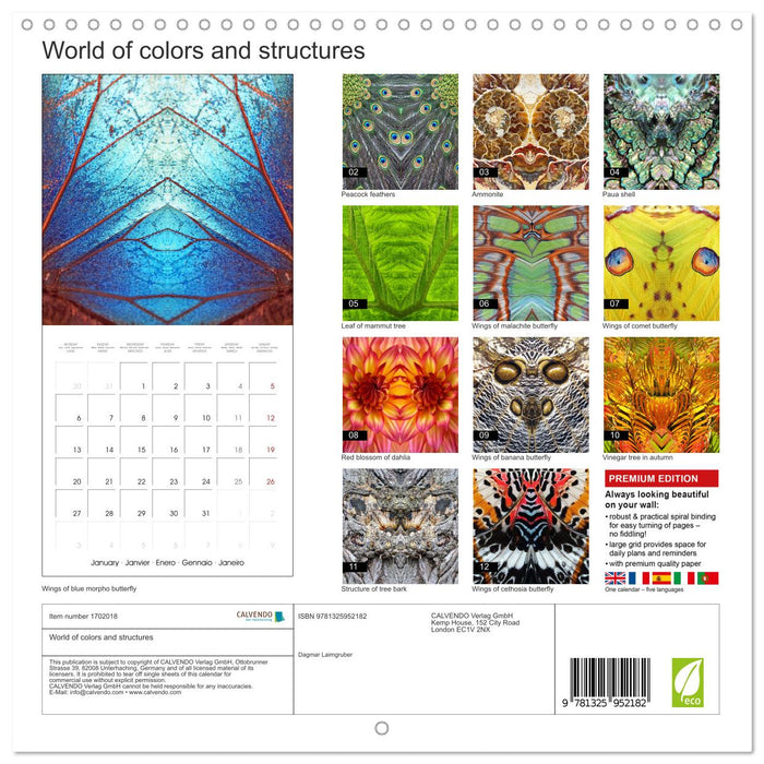 World of colors and structures (CALVENDO Monthly Calendar 2025)