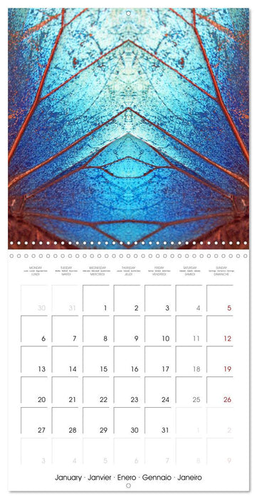 World of colors and structures (CALVENDO Monthly Calendar 2025)