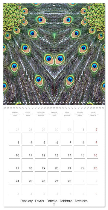 World of colors and structures (CALVENDO Monthly Calendar 2025)