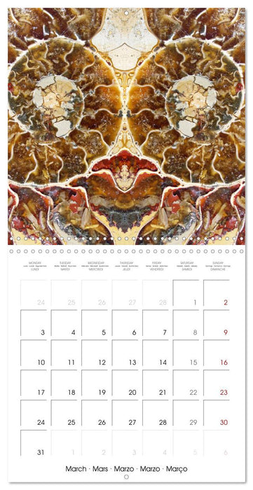 World of colors and structures (CALVENDO Monthly Calendar 2025)