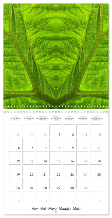 World of colors and structures (CALVENDO Monthly Calendar 2025)