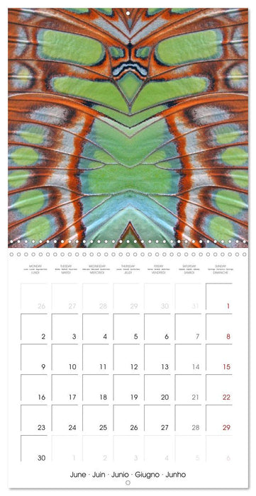 World of colors and structures (CALVENDO Monthly Calendar 2025)