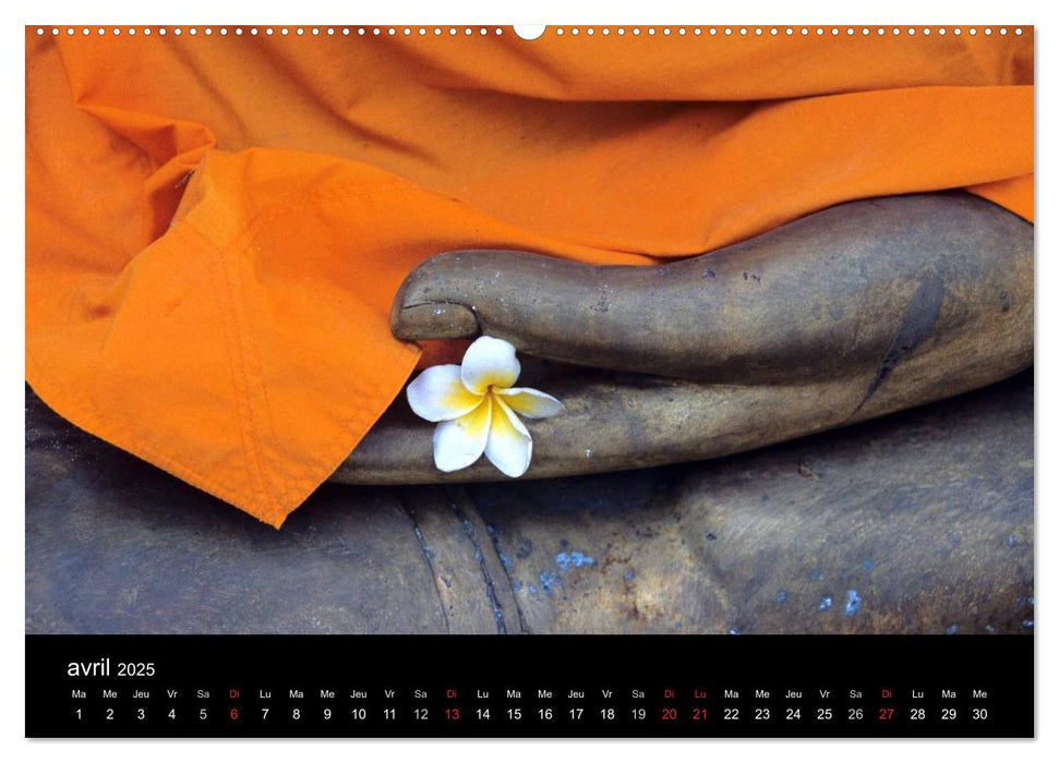 Bouddha Le Maître de Zen (CALVENDO Calendrier supérieur 2025)