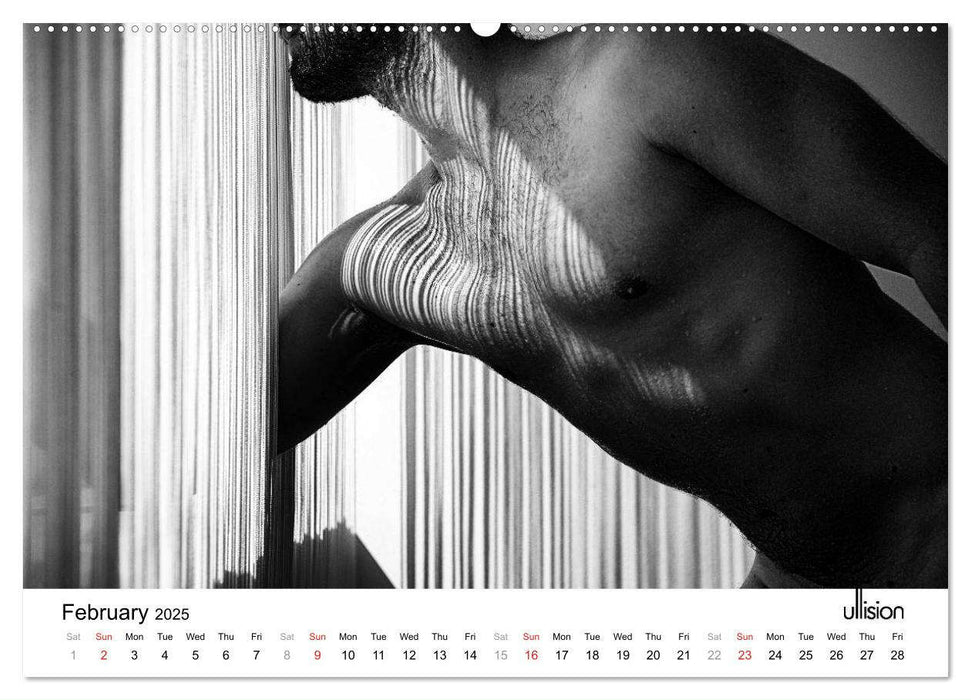 Male Nude Art (CALVENDO Premium-Calendar 2025)