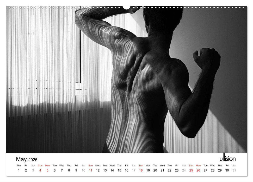 Male Nude Art (CALVENDO Premium-Calendar 2025)