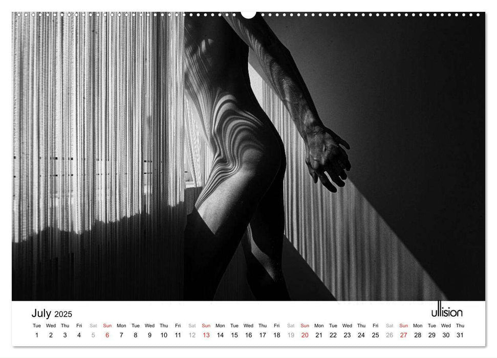 Male Nude Art (CALVENDO Premium-Calendar 2025)