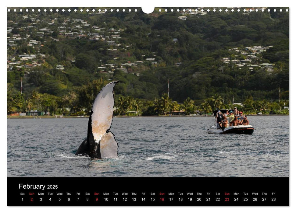 Bora Bora, Paradise islands (CALVENDO Monthly Calendar 2025)