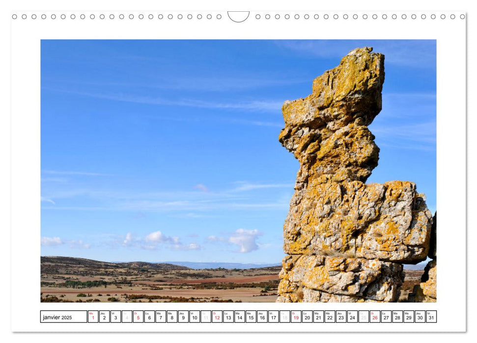 Terre du Larzac (CALVENDO Calendrier mensuel 2025)