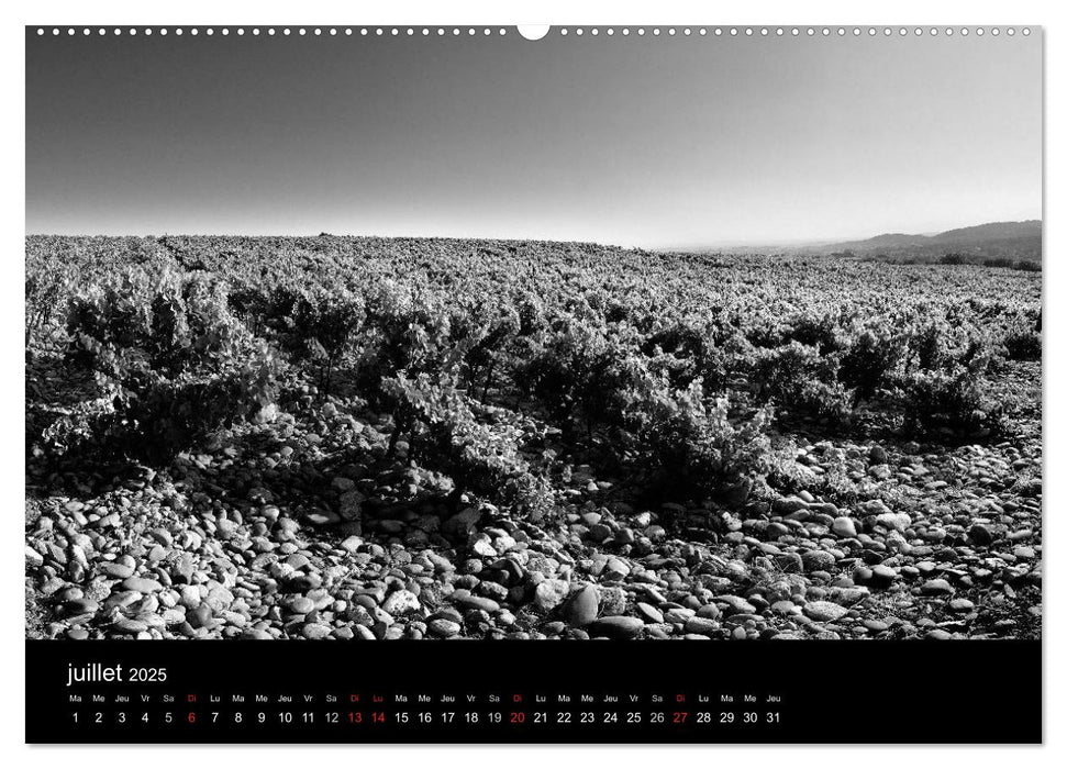 VIGNES DU SUD terroirs d'AOC (CALVENDO Calendrier supérieur 2025)