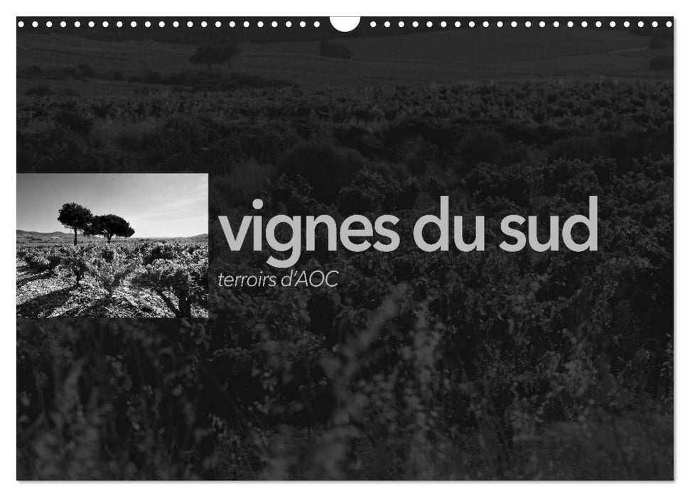 VIGNES DU SUD terroirs d'AOC (CALVENDO Calendrier mensuel 2025)