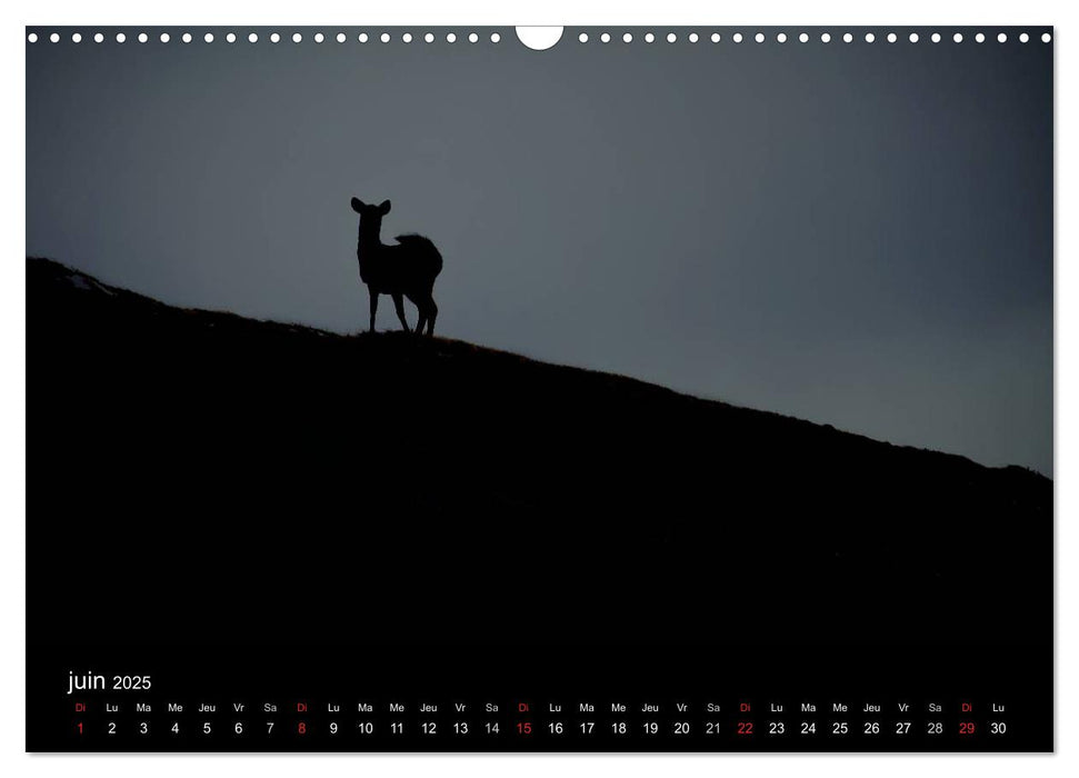 Saint-Pierre et Miquelon à l'état sauvage (CALVENDO Calendrier mensuel 2025)