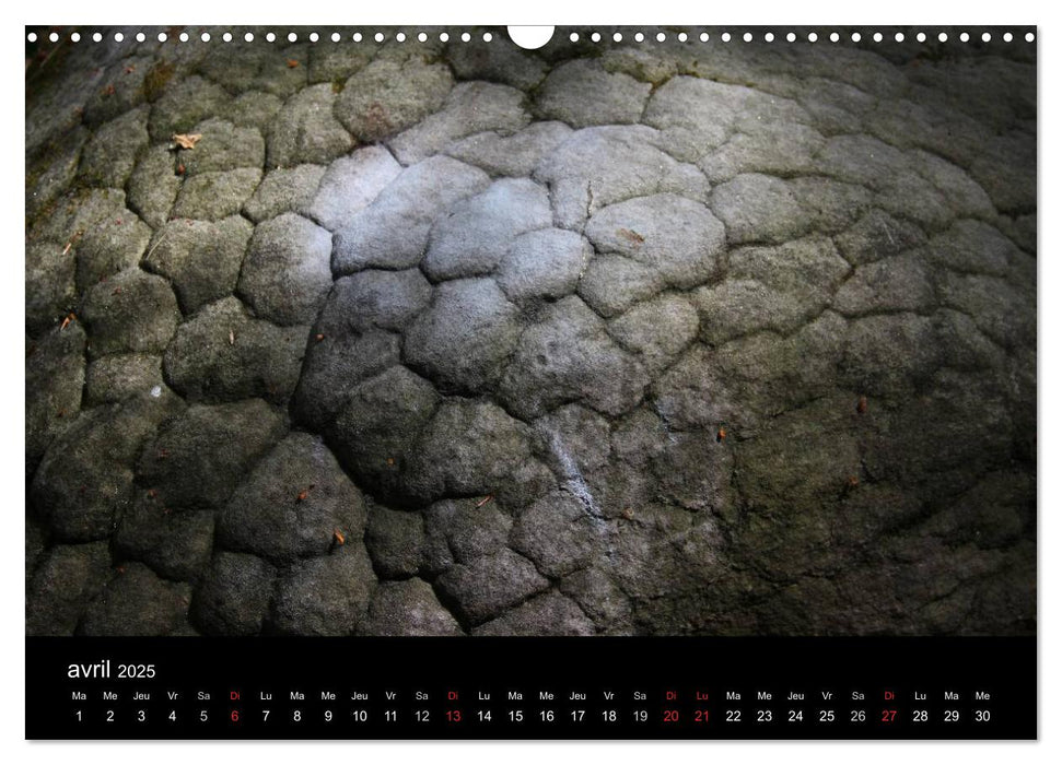 Le Bleausard (CALVENDO Calendrier mensuel 2025)