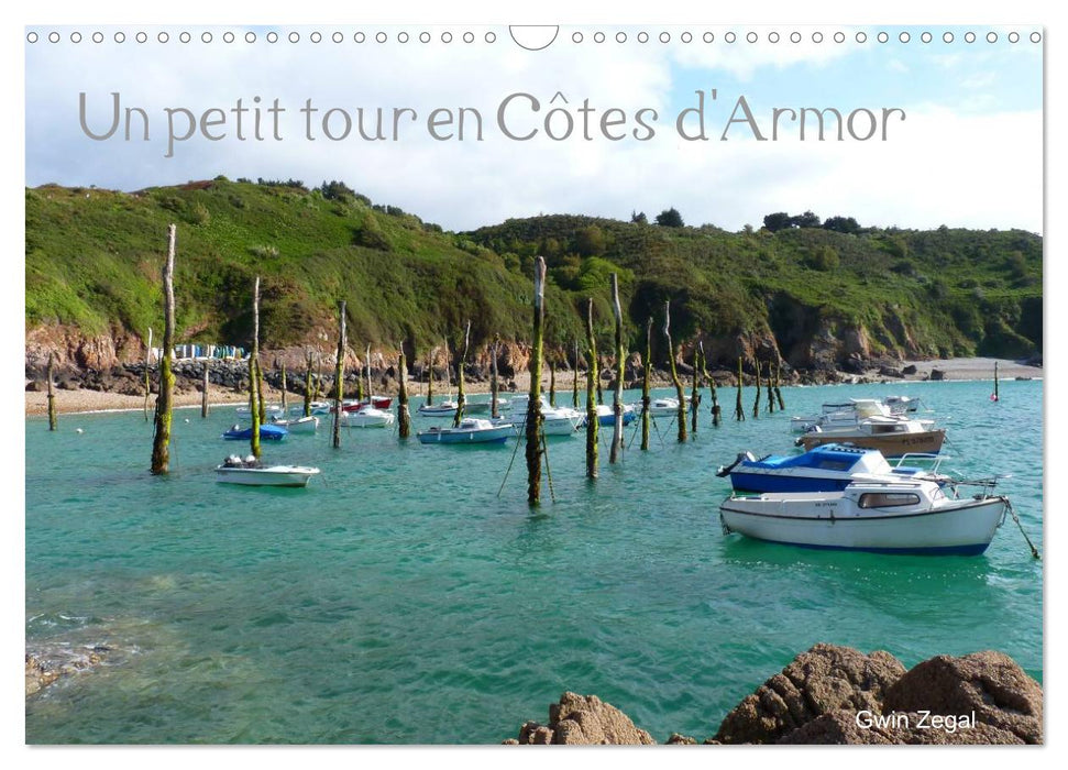 Un petit tour en Côtes d'Armor (CALVENDO Calendrier mensuel 2025)