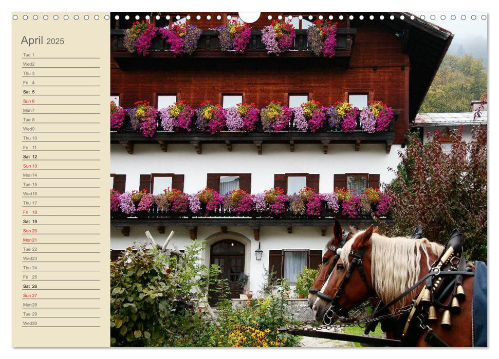 Highlights of Bavaria (CALVENDO Monthly Calendar 2025)