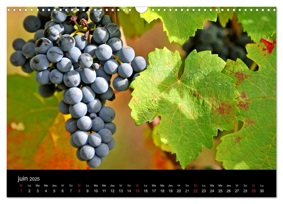 Couleurs Aveyron (CALVENDO Calendrier mensuel 2025)