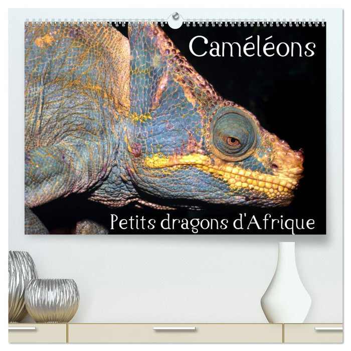 Caméléons - Petits dragons d'Afrique. (CALVENDO Calendrier supérieur 2025)