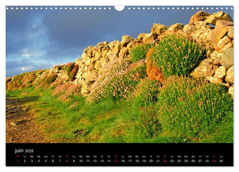 Fugue irlandaise (CALVENDO Calendrier mensuel 2025)