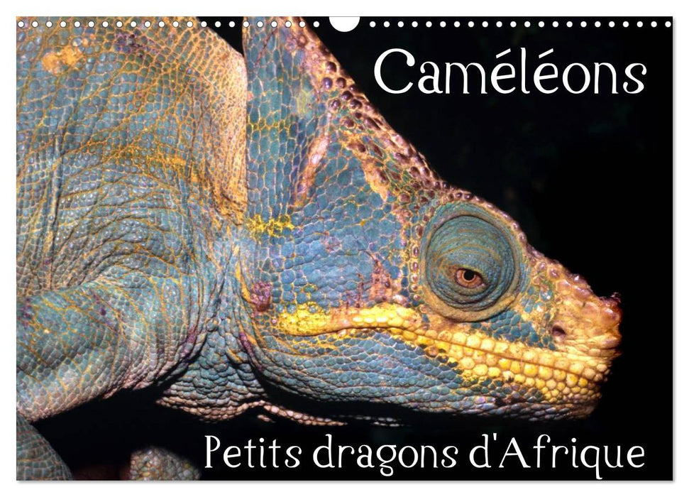 Caméléons - Petits dragons d'Afrique. (CALVENDO Calendrier mensuel 2025)