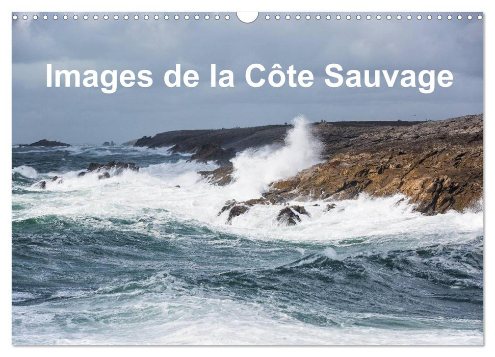 Images de la Côte Sauvage (CALVENDO Calendrier mensuel 2025)