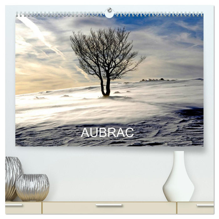 AUBRAC (CALVENDO Calendrier supérieur 2025)