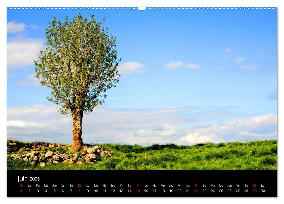 AUBRAC (CALVENDO Calendrier supérieur 2025)