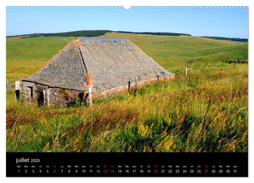 AUBRAC (CALVENDO Calendrier supérieur 2025)