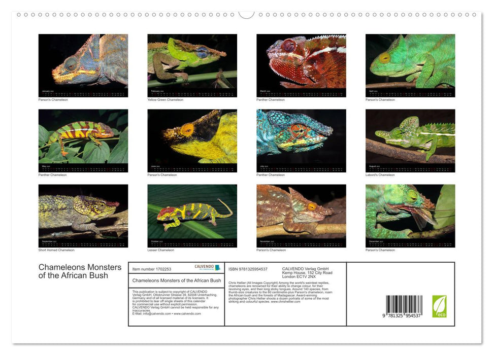 Chameleons Monsters of the African Bush (CALVENDO Premium-Calendar 2025)