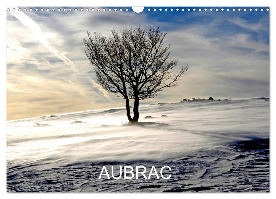 AUBRAC (CALVENDO Calendrier mensuel 2025)